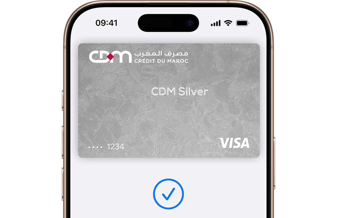 iPhone Apple Pay